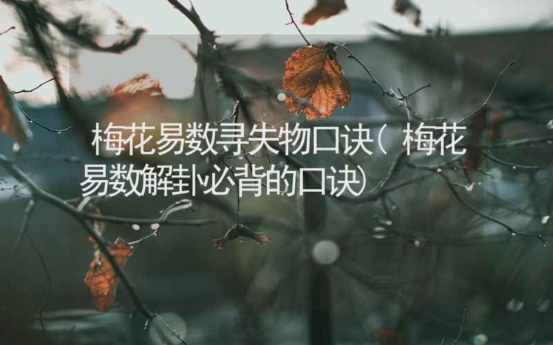 梅花易数寻失物口诀(梅花易数解卦必背的口诀)