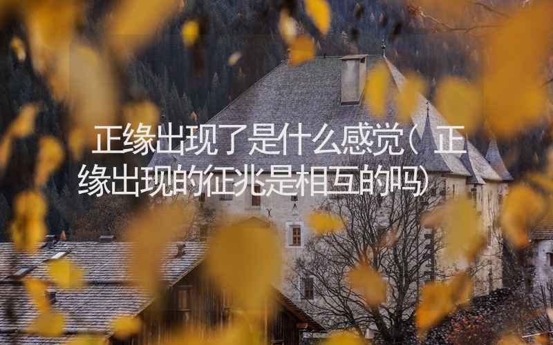 正缘出现了是什么感觉(正缘出现的征兆是相互的吗)