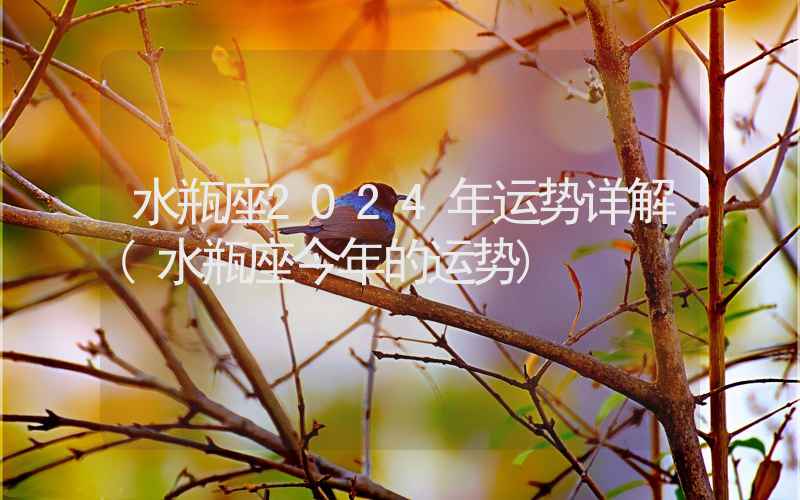 水瓶座2024年运势详解(水瓶座今年的运势)