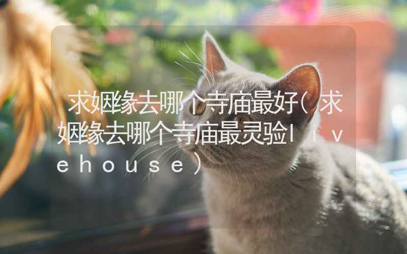 求姻缘去哪个寺庙最好(求姻缘去哪个寺庙最灵验livehouse)