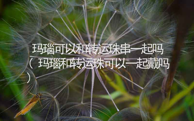 玛瑙可以和转运珠串一起吗(玛瑙和转运珠可以一起戴吗)