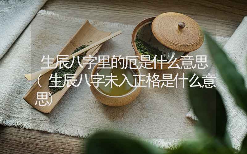 生辰八字里的厄是什么意思(生辰八字未入正格是什么意思)