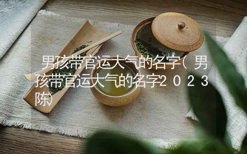 男孩带官运大气的名字(男孩带官运大气的名字2023陈)