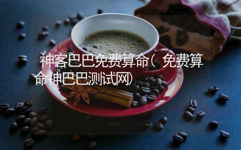 神客巴巴免费算命(免费算命神巴巴测试网)