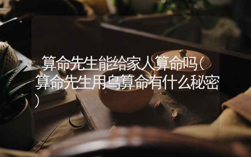 算命先生能给家人算命吗(算命先生用鸟算命有什么秘密)