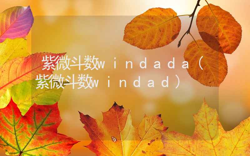 紫微斗数windada(紫微斗数windad)