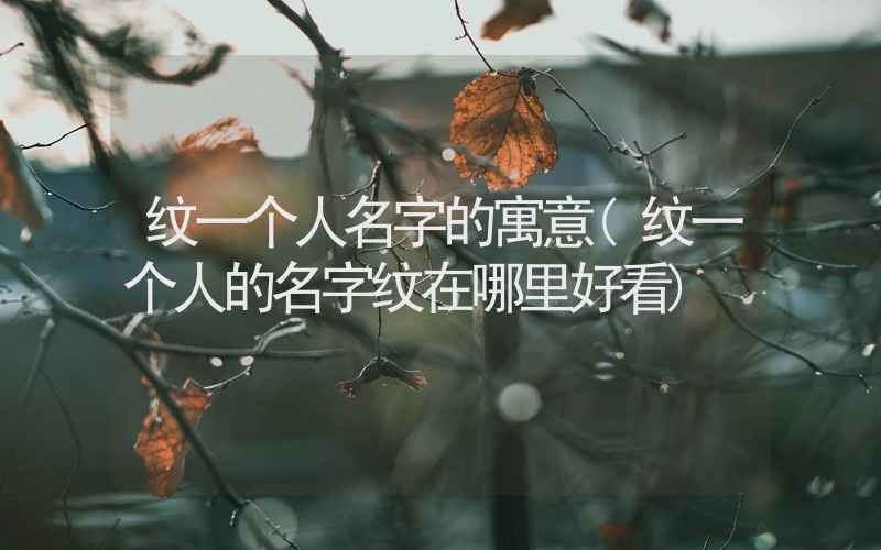 纹一个人名字的寓意(纹一个人的名字纹在哪里好看)