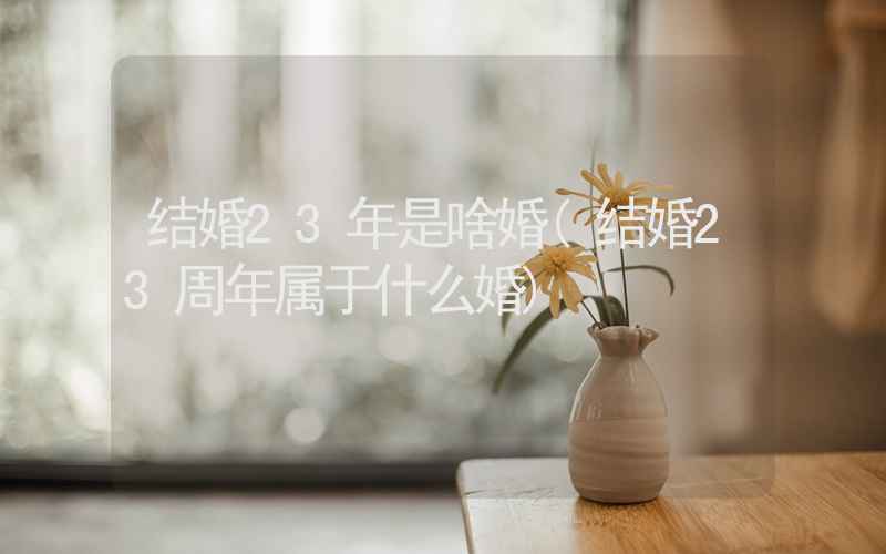 结婚23年是啥婚(结婚23周年属于什么婚)