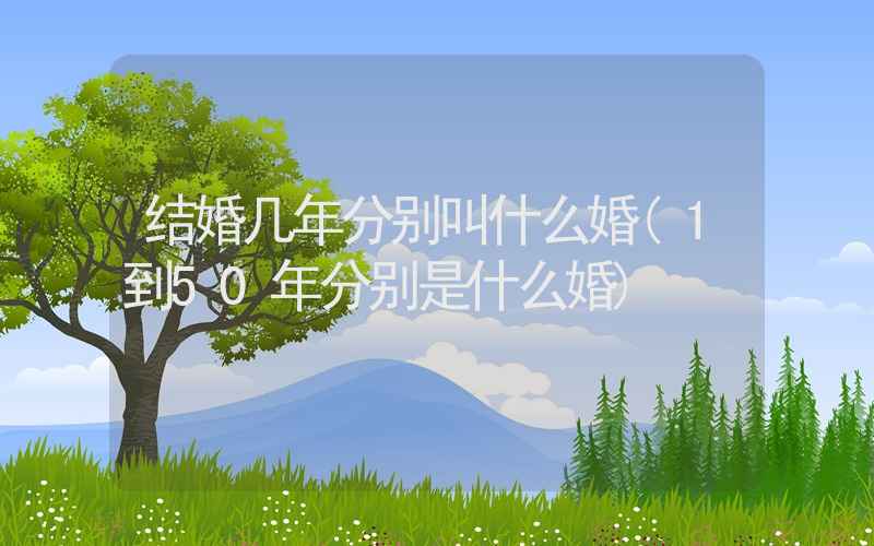 结婚几年分别叫什么婚(1到50年分别是什么婚)