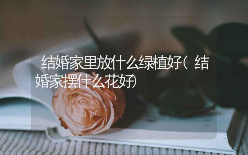 结婚家里放什么绿植好(结婚家摆什么花好)