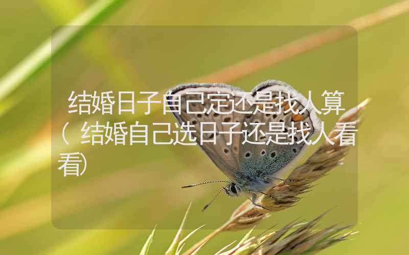 结婚日子自己定还是找人算(结婚自己选日子还是找人看看)