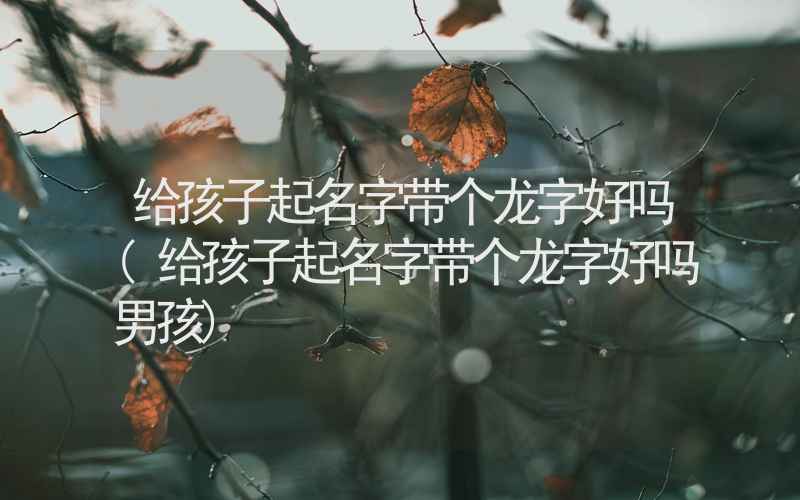 给孩子起名字带个龙字好吗(给孩子起名字带个龙字好吗男孩)