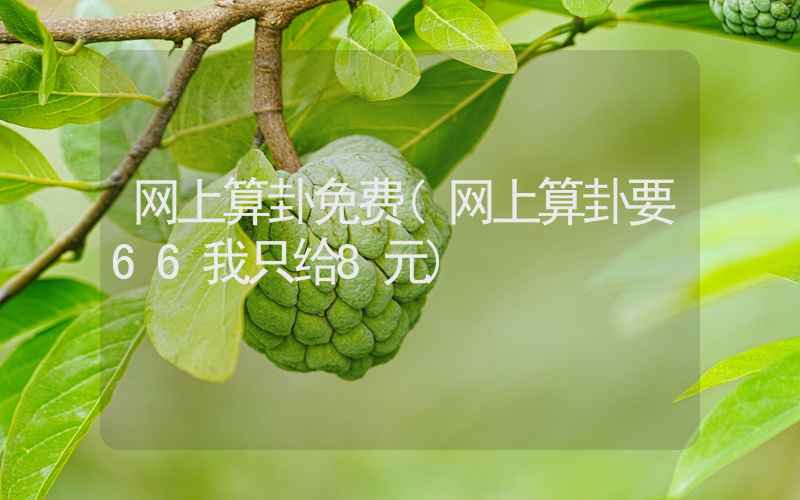 网上算卦免费(网上算卦要66我只给8元)