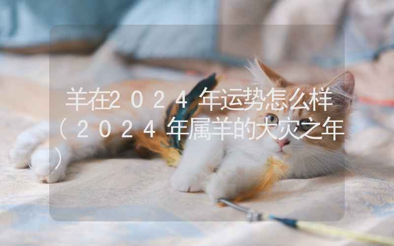 羊在2024年运势怎么样(2024年属羊的大灾之年)