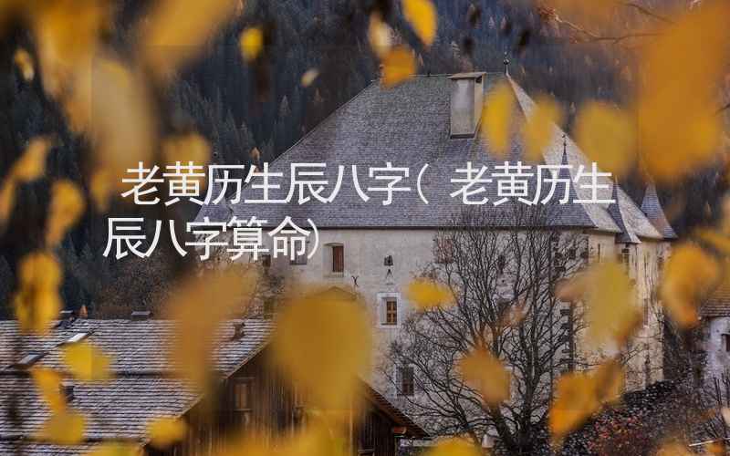 老黄历生辰八字(老黄历生辰八字算命)