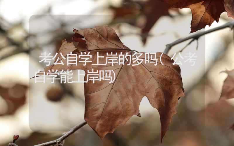 考公自学上岸的多吗(公考自学能上岸吗)