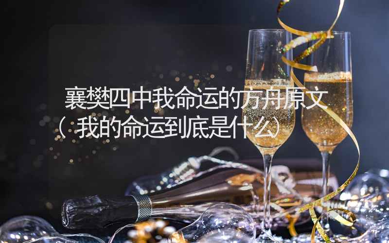 襄樊四中我命运的方舟原文(我的命运到底是什么)