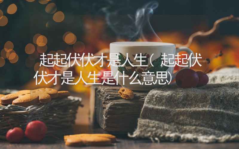 起起伏伏才是人生(起起伏伏才是人生是什么意思)