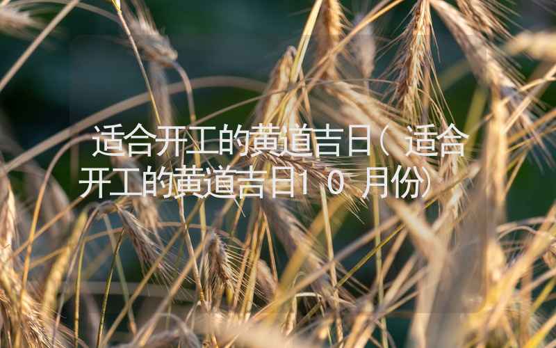 适合开工的黄道吉日(适合开工的黄道吉日10月份)