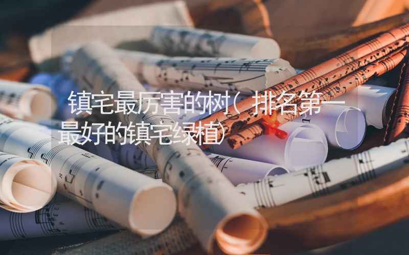 镇宅最厉害的树(排名第一最好的镇宅绿植)