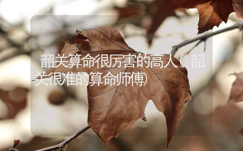 韶关算命很厉害的高人(韶关很准的算命师傅)