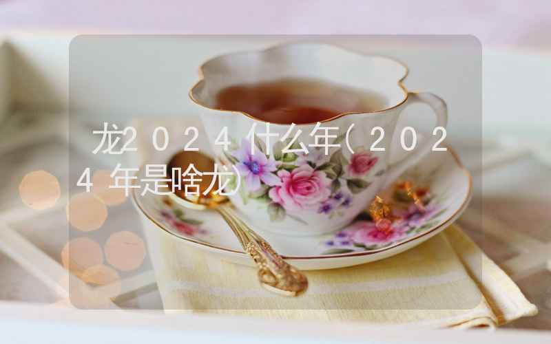 龙2024什么年(2024年是啥龙)